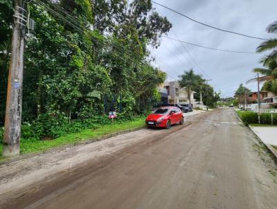 imagem-miniatura
